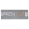 موس و کیبورد با سیم فاطر مدل Fater CCN-5000B