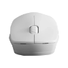 موس اقتصادی بی سیم فاطر مدل Fater MWN-5100W